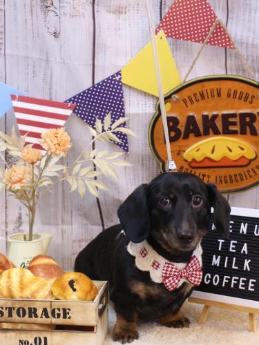 20240922らんちゃん